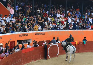 Ayala salva la tarde en San Crist&oacute;bal