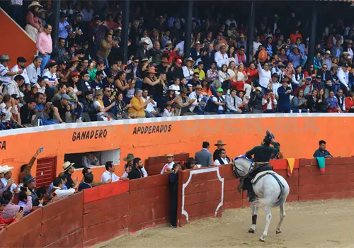 Ayala salva la tarde en San Cristóbal Ayala salva la tarde en San Cristóbal