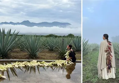 Reflexionan sobre la sustituci&oacute;n del ma&iacute;z