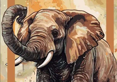 Cuentos de la selva Cuentos de la selva