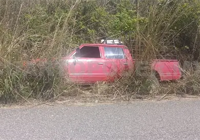 Pick up sale de la v&iacute;a y acaba en la maleza