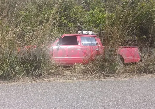 Pick up sale de la v&iacute;a y acaba en la maleza