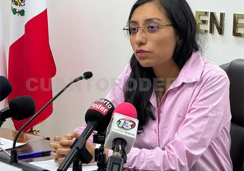 Solicita INE consejeras y consejeros