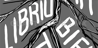 Fracking: oportunidad estrat&eacute;gica