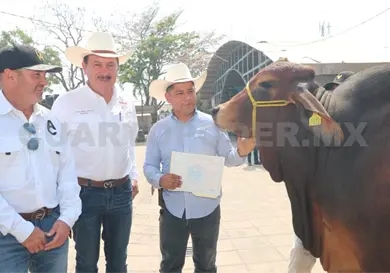 Entregan apoyos para el sector ganadero