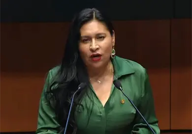 Senadora llama a morenistas a la autocr&iacute;tica