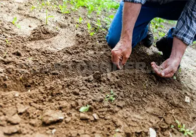 Deben productores regularizar t&iacute;tulos de concesi&oacute;n