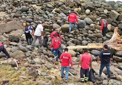Suman esfuerzos por un litoral m&aacute;s limpio y vivo