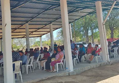 Denuncian aumento del robo de ganado