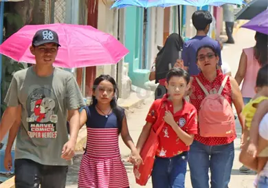 Onda de calor no ha afectado a la entidad