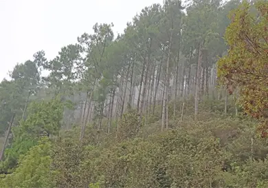 Se encamina Chiapas a su onceava ANP