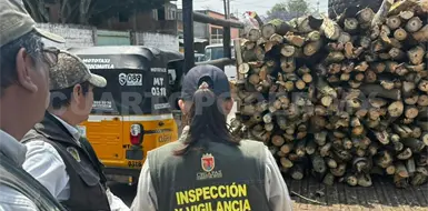 Refuerzan vigilancia ante riesgo de tala ilegal