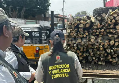 Refuerzan vigilancia ante riesgo de tala ilegal