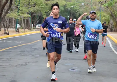 "Pasos de Luz" ilumina Ca&ntilde;a Hueca