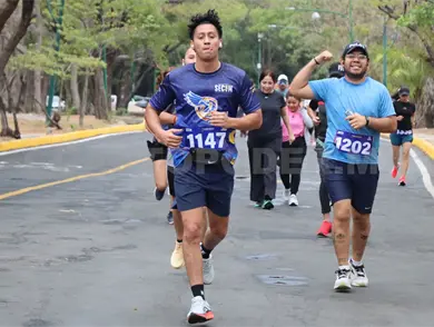 "Pasos de Luz" ilumina Ca&ntilde;a Hueca