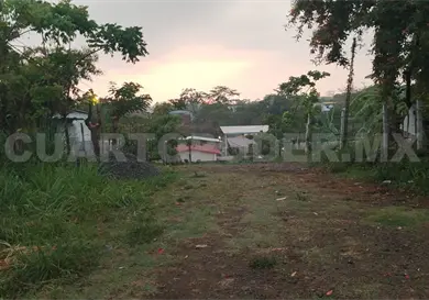 Denuncian despojo y falta de atenci&oacute;n de autoridades