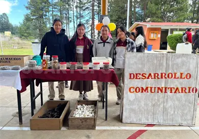 Impulsan oportunidades educativas para j&oacute;venes