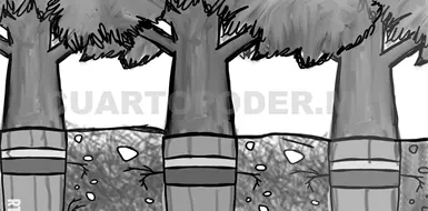 La fuerza de la transformaci&oacute;n