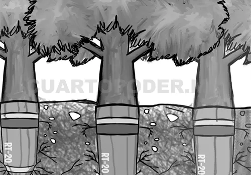 La fuerza de la transformaci&oacute;n