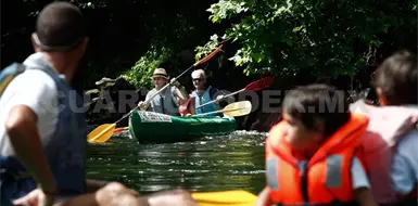 Avanza recuperaci&oacute;n econ&oacute;mica: Pedrero