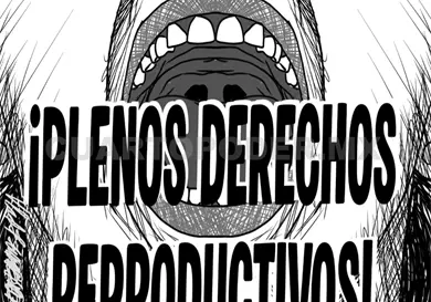 No es suficiente con despenalizar el aborto