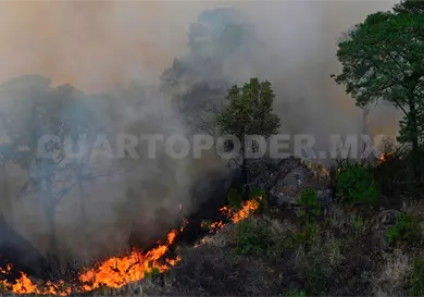Prevenci&oacute;n redujo incendios forestales