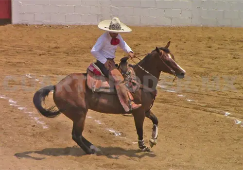 Gran ambiente en el Circuito Charro 2026