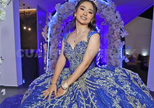 Los dulces quince a&ntilde;os de Brissa