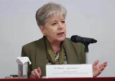 PVEM pide la comparecencia de Alicia B&aacute;rcena