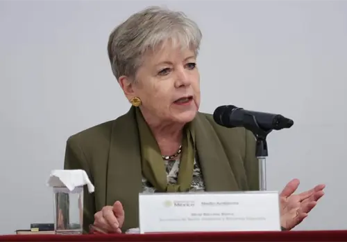 PVEM pide la comparecencia de Alicia B&aacute;rcena