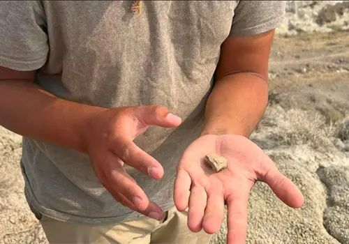 Hallan f&oacute;sil m&aacute;s peque&ntilde;o de Sudam&eacute;rica