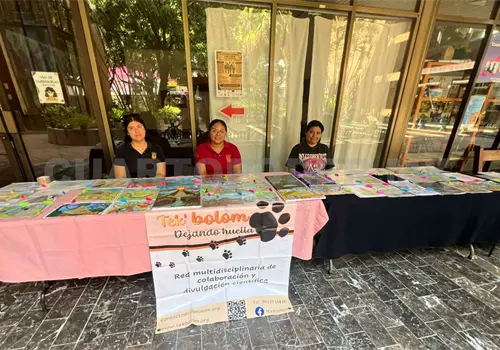 Concluye con &eacute;xito concurso de dibujo