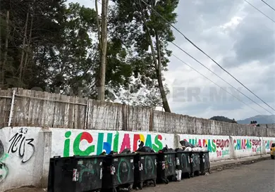 Piden esclarecer deforestaci&oacute;n en El Cubito
