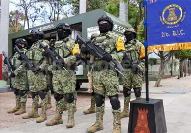 Infanter&iacute;a, la defensa del territorio nacional