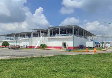 Al 75 % planta de moscas est&eacute;riles contra GBG