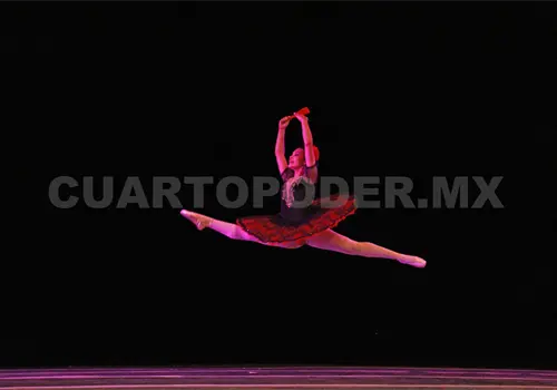 Reconocen a pilares de la danza