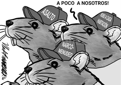 Confianza y seguridad