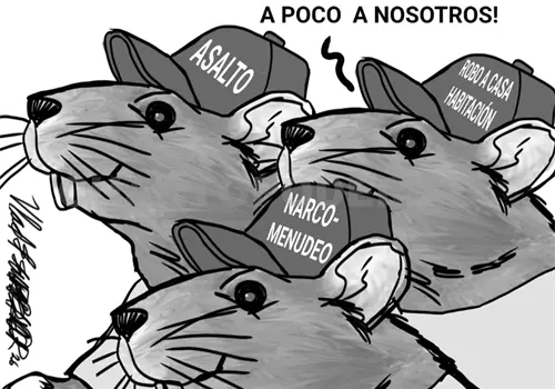 Confianza y seguridad