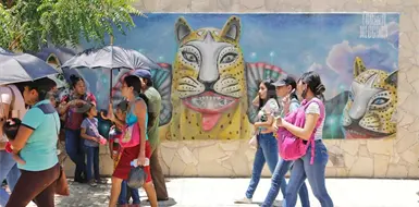 Temperaturas extremas: cinco municipios en 42 &deg;C 