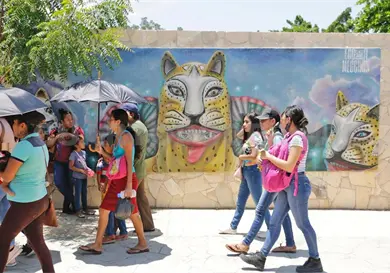 Temperaturas extremas: cinco municipios en 42 &deg;C