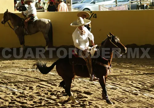 Chiapas alista su Campeonato Estatal Charro