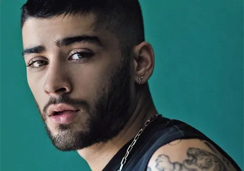 Zayn Malik cancela fechas en EU