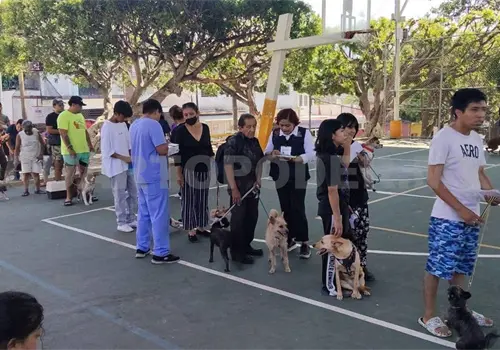 Vacunan unos 10 mil animales