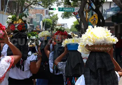 Flor de mayo: entre la fe y la comunidad