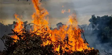 Casi 12 mil hect&aacute;reas quemadas en Chiapas
