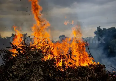 Casi 12 mil hect&aacute;reas quemadas en Chiapas