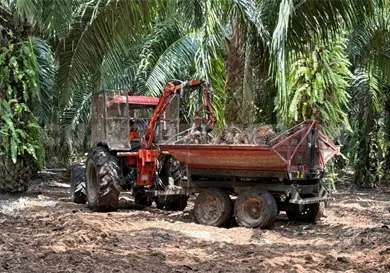 Ofrecen cr&eacute;ditos a productores