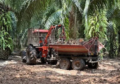 Ofrecen cr&eacute;ditos a productores