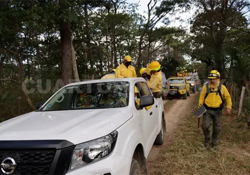 Reconocen a combatientes forestales en su d&iacute;a