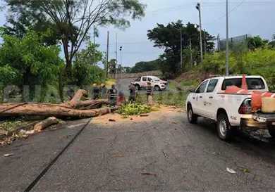 Vientos y lluvias dejan un saldo fatal y afectaciones
